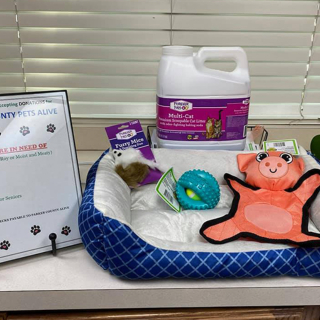 Donated pet supplies on table