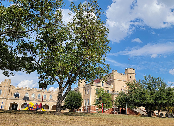 Tall trees in front of school building