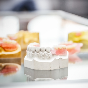 Several different models of dentures on table